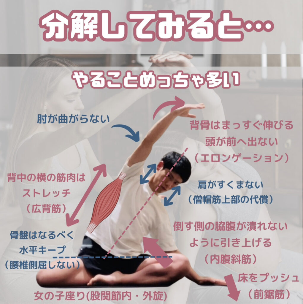 マーメイドエクササイズの深掘り
