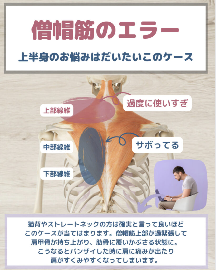 僧帽筋の教科書