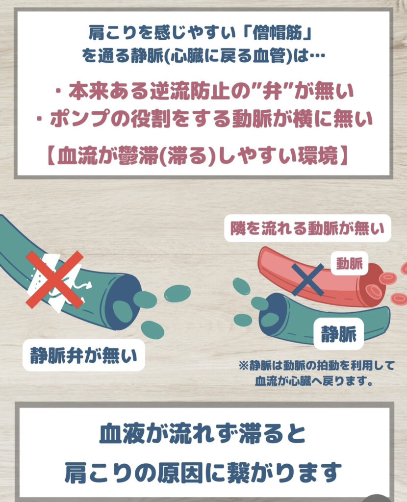 肩こりの原因と解決法