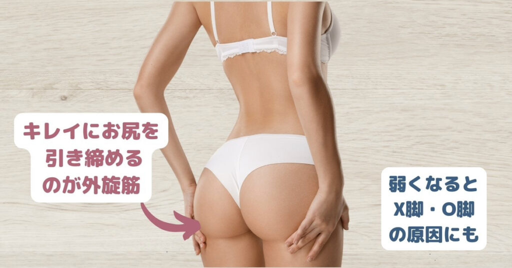 綺麗なヒップを作るには