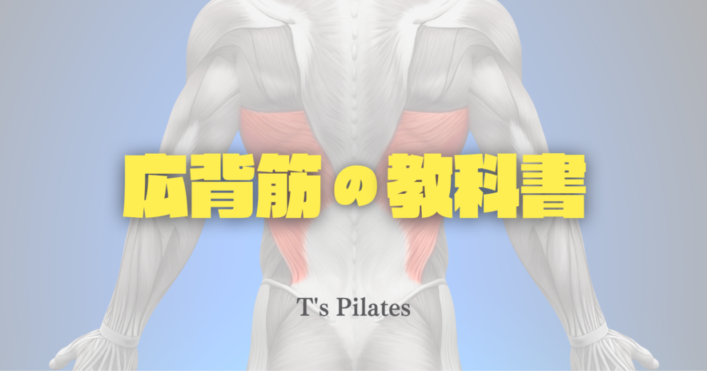 広背筋の教科書