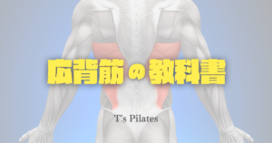 広背筋の教科書