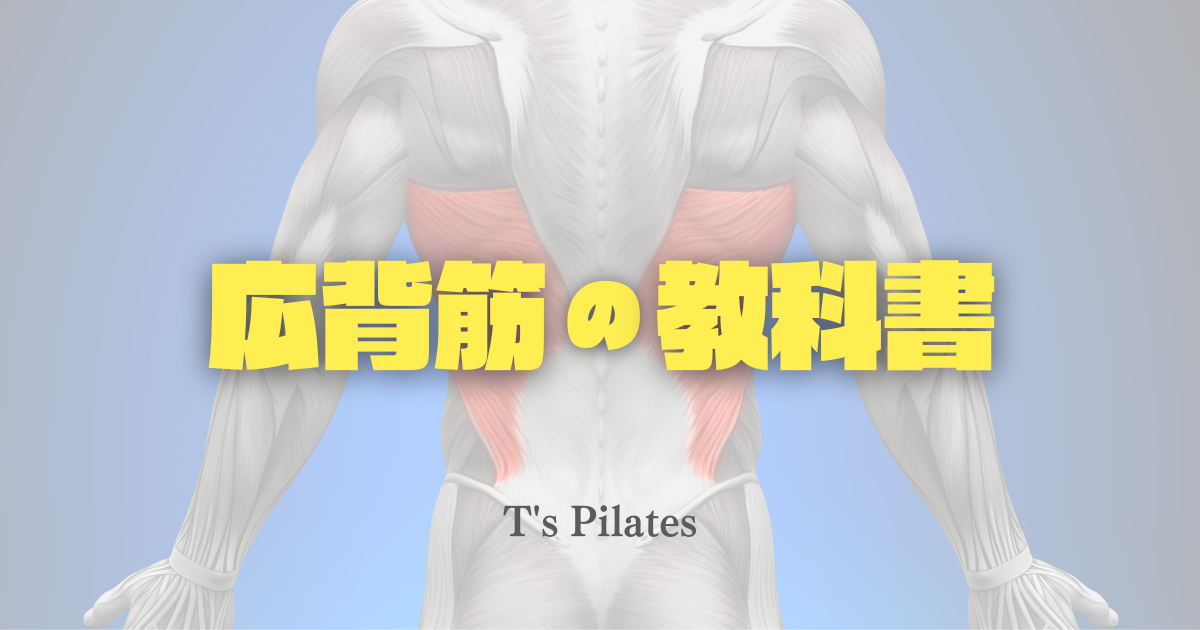 広背筋の教科書