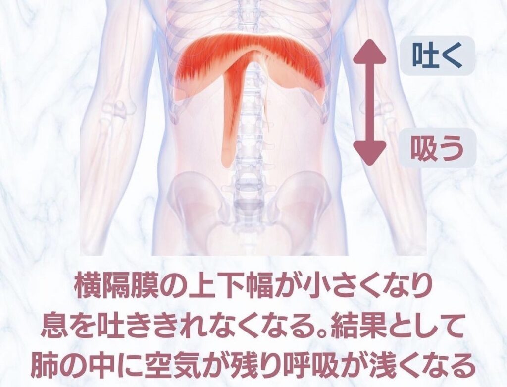 横隔膜が硬い