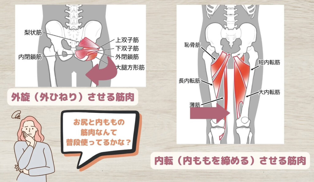 O脚とX脚の原理原則