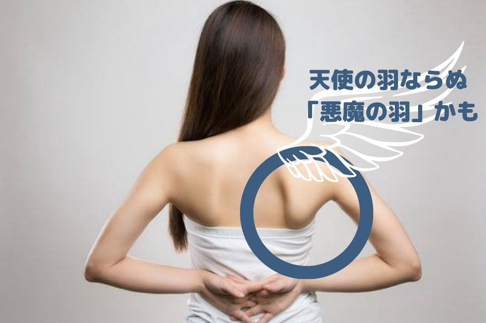 天使の羽ならぬ「悪魔の羽」かも