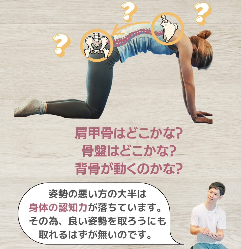 どうしたら姿勢は良くなるの?