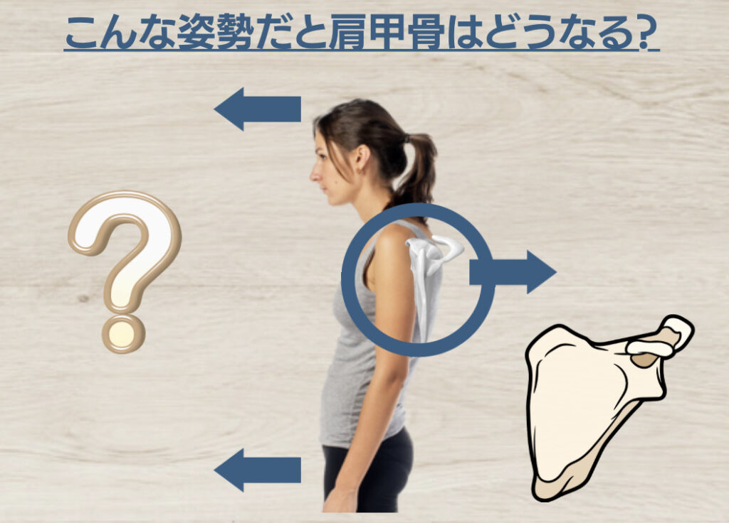 こんな姿勢だと肩甲骨はどうなる?