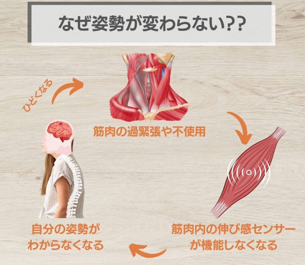 なぜ姿勢が変わらない?