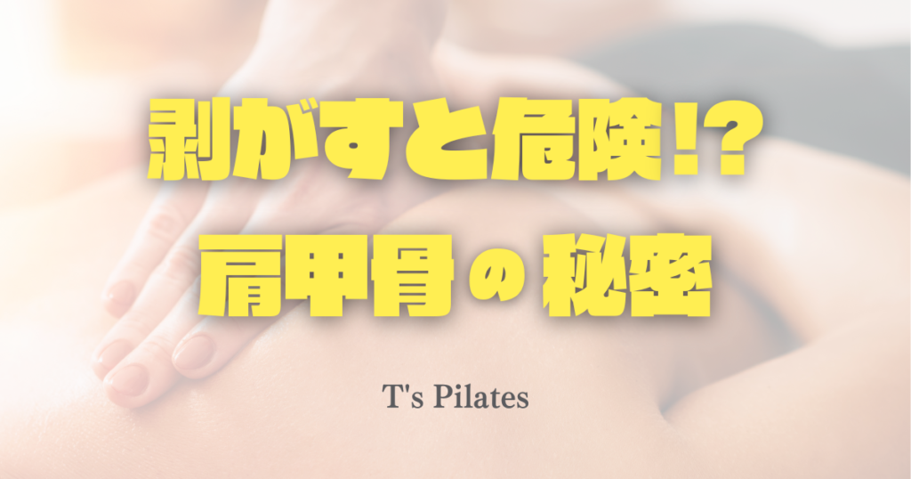 剥がすと危険!?肩甲骨の秘密