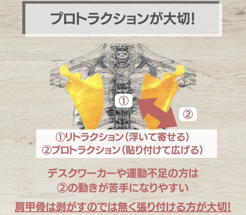 プロトラクションが大切
