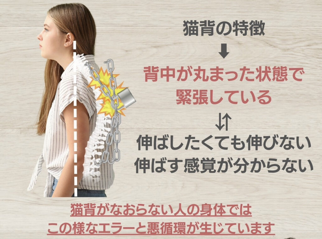猫背の解説