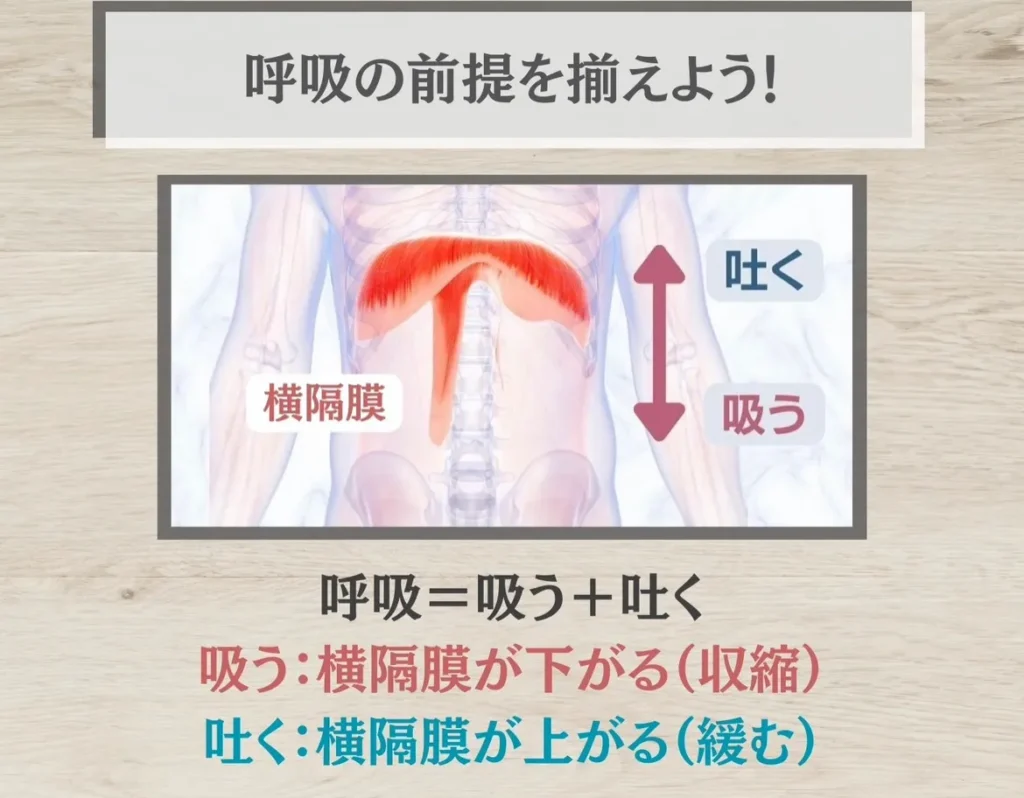 呼吸の前提