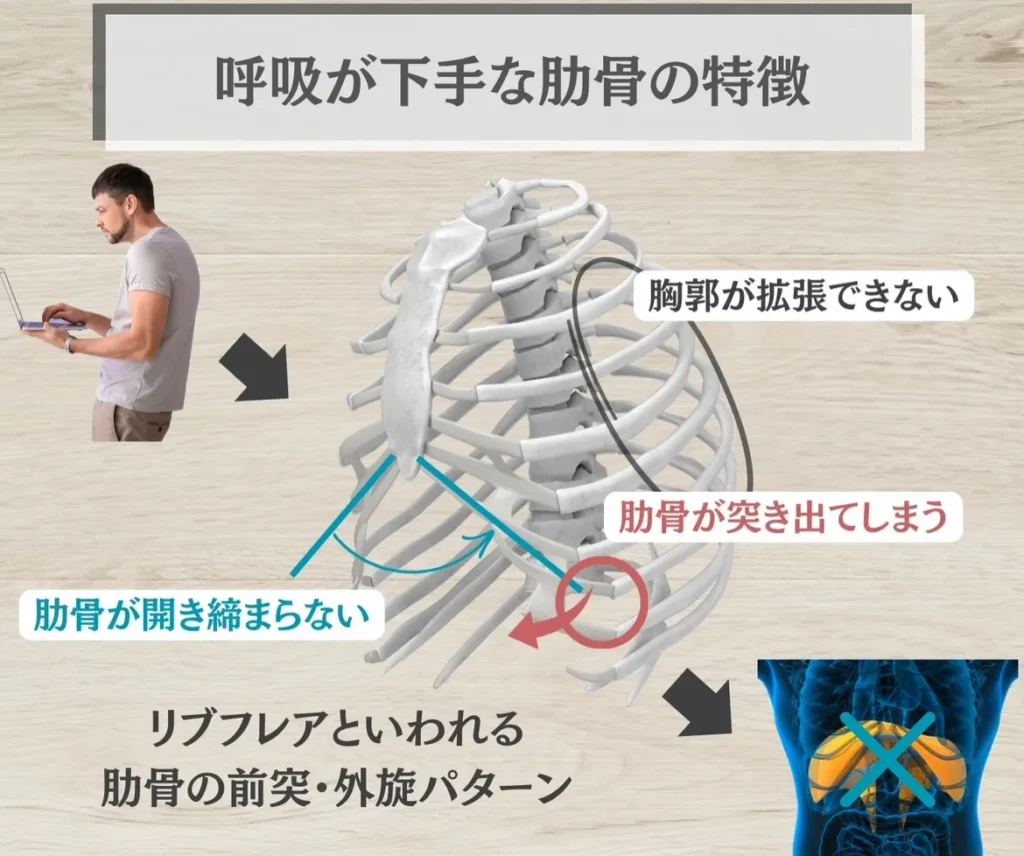 呼吸が下手な人の肋骨の特徴