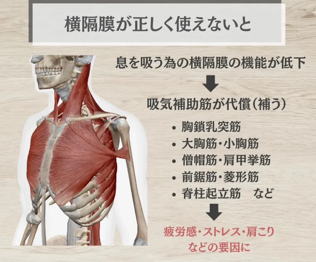横隔膜が上手く使えないと
