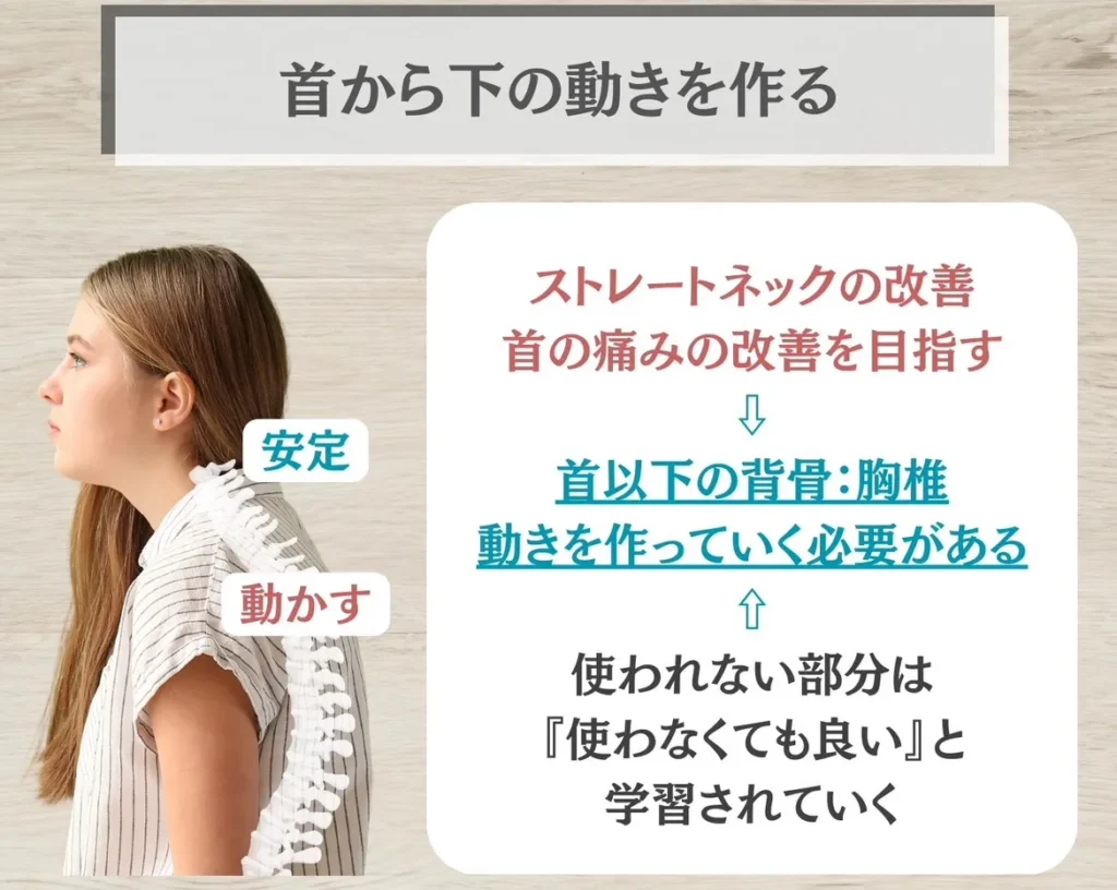 改善策は首より下の背骨!