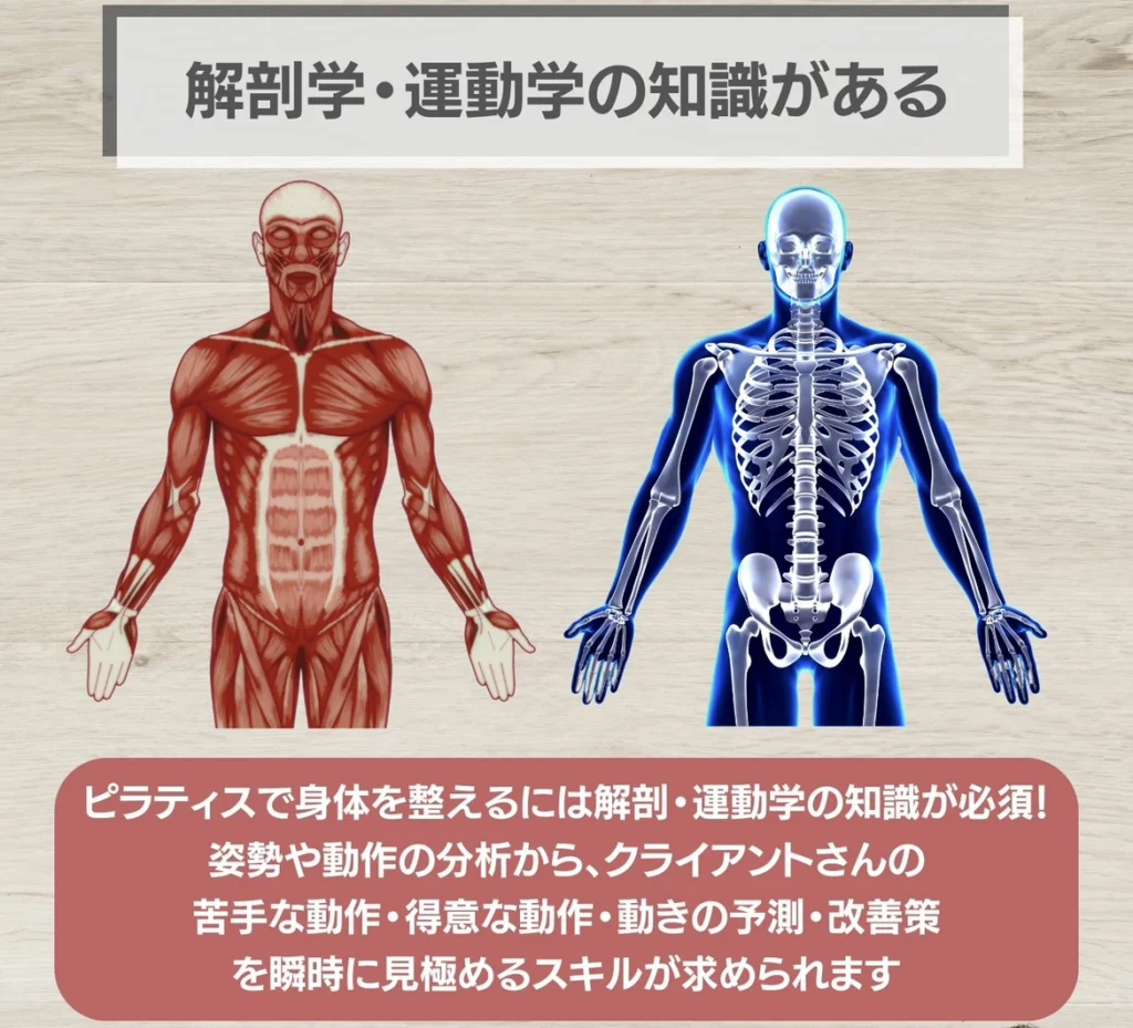 解剖学・運動学の知識がある