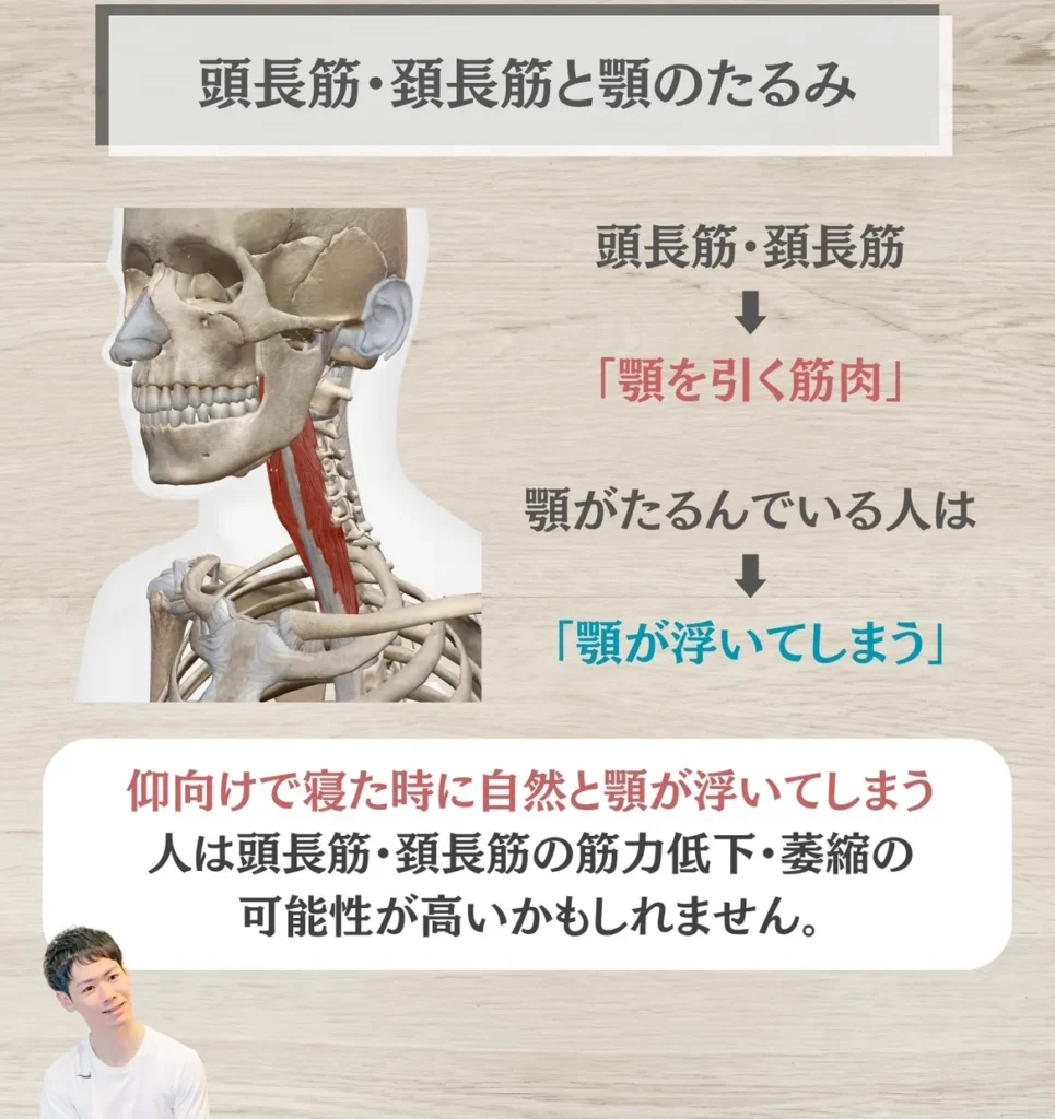 頭長筋・頚長筋とあごのたるみ