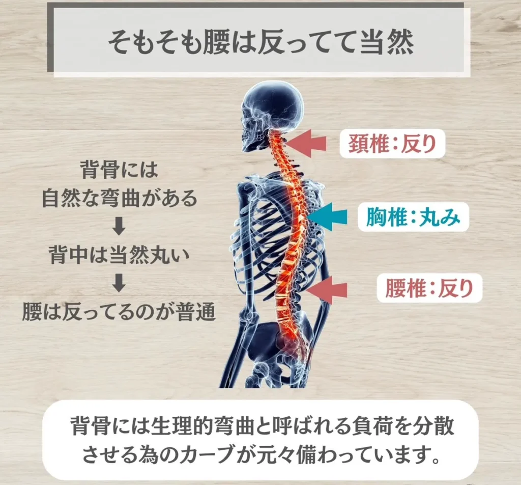 そもそも、腰は反るのが自然