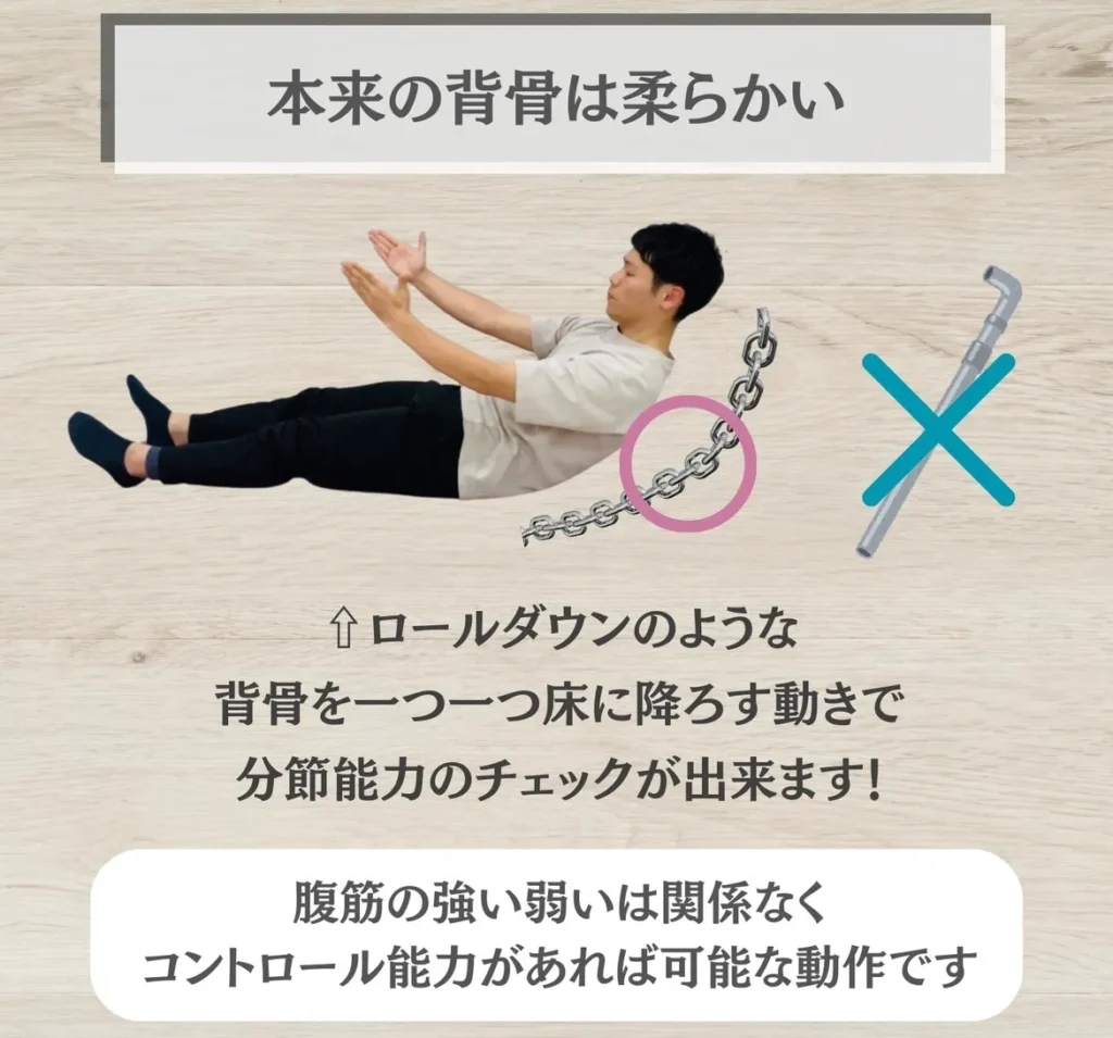 本来の背骨は柔らかい