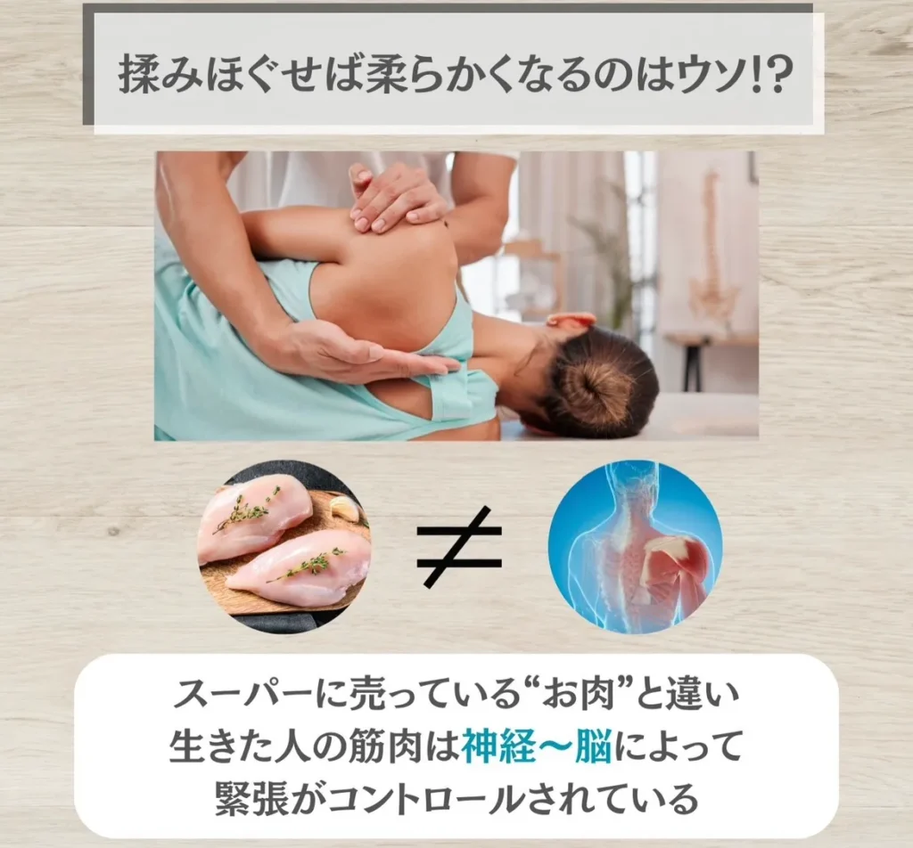 揉みほぐせば柔らかくなるのはウソ!?