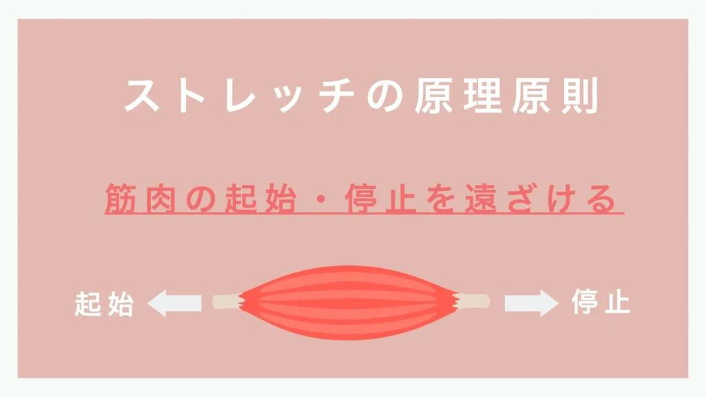 ストレッチの原理原則