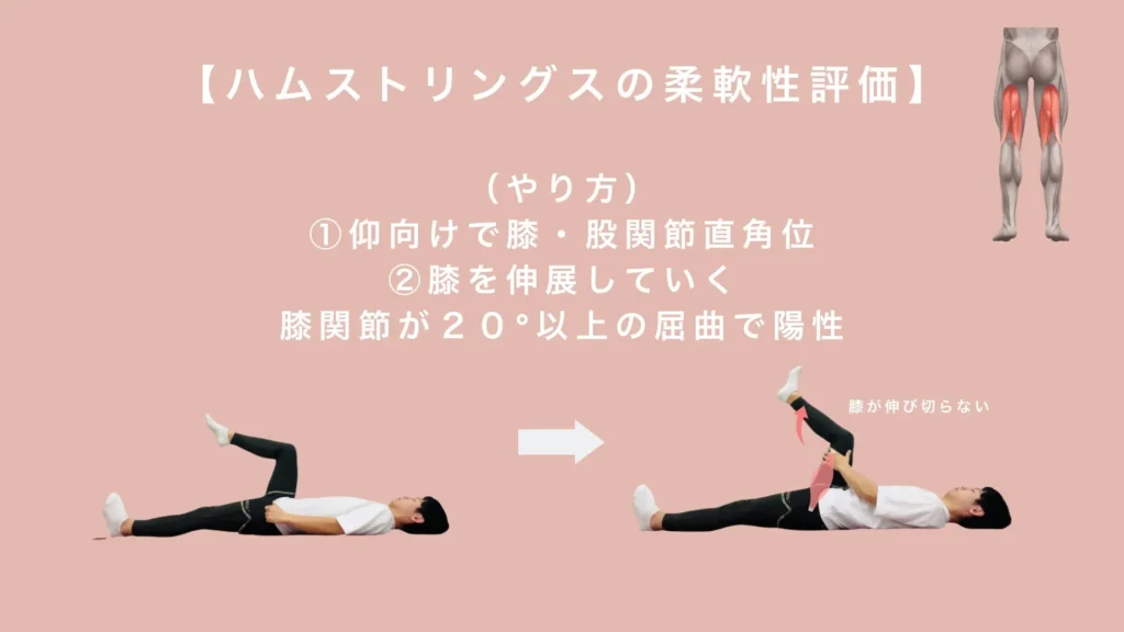 ハムストリングスの柔軟性評価