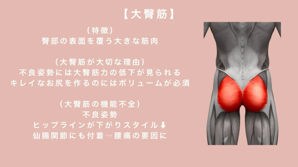 大臀筋