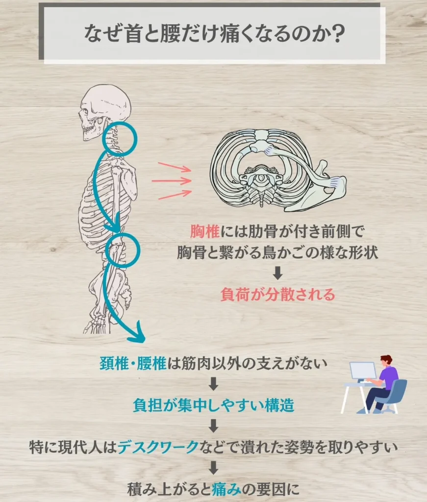 なぜ首と腰だけ痛くなるのか?