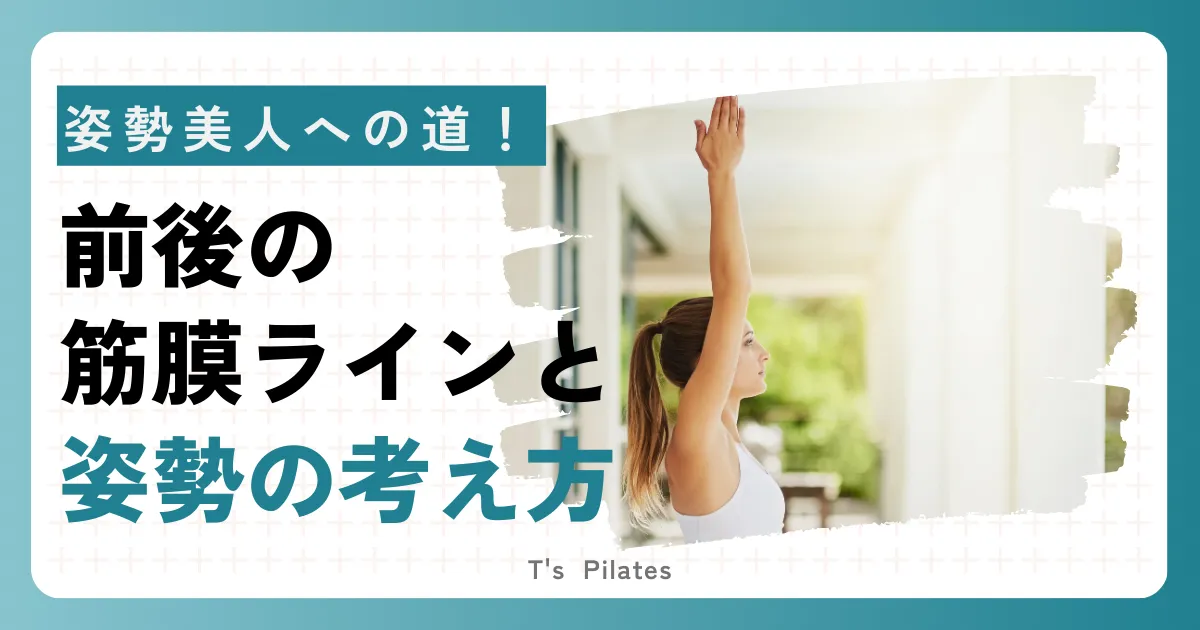 姿勢美人への道!禅語の筋膜ラインと姿勢の考え方