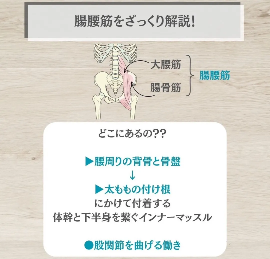 腸腰筋の解説画像
