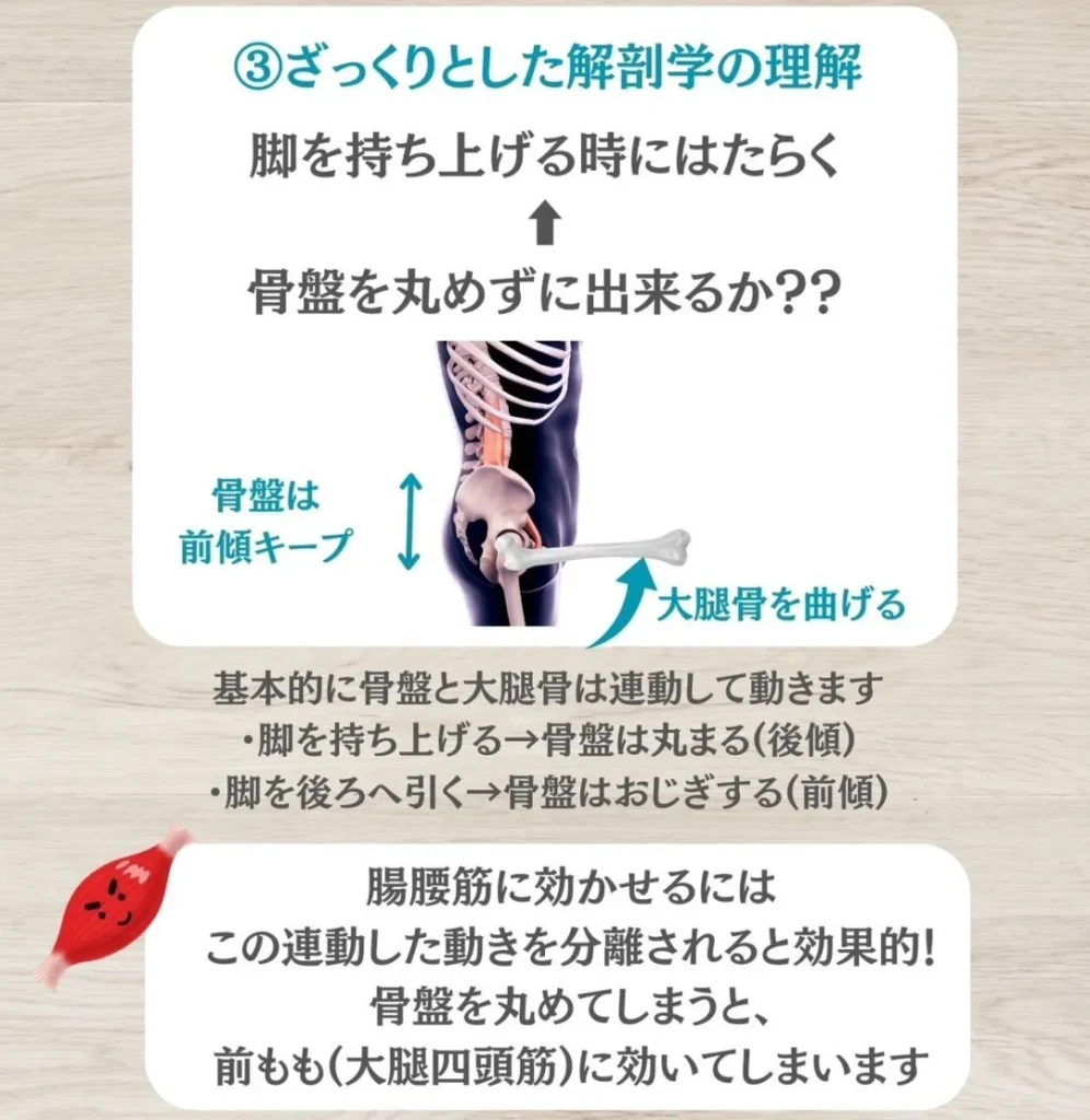 ざっくりとした解剖学の知識