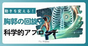 胸郭の可動性が変える！ピラティスと胸郭の回旋アプローチ