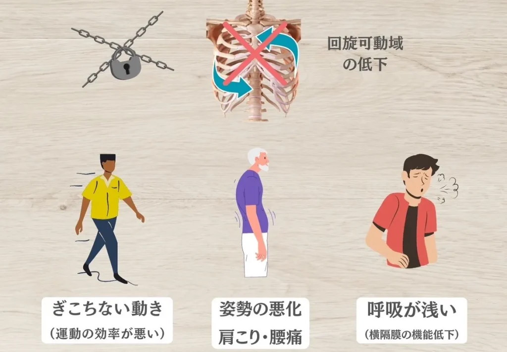 胸郭回旋の低下によるデメリット
