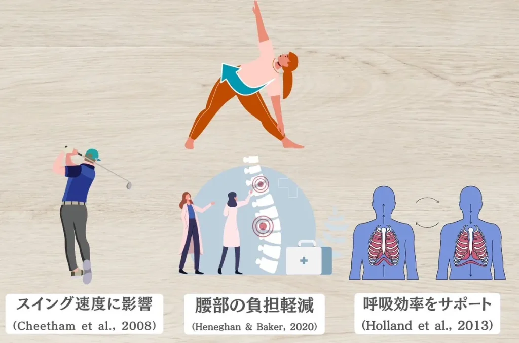 研究が示す胸郭回旋の重要性