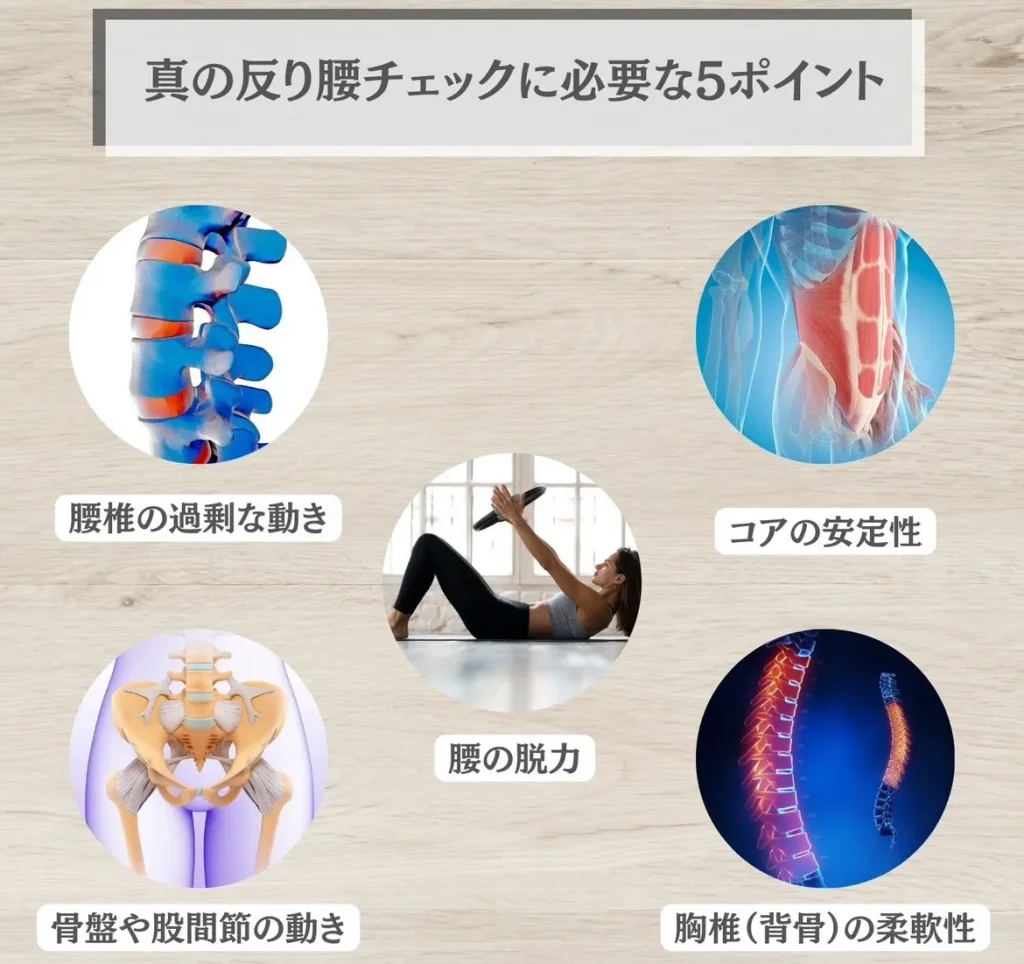真の反り腰チェックに必要な5ポイント