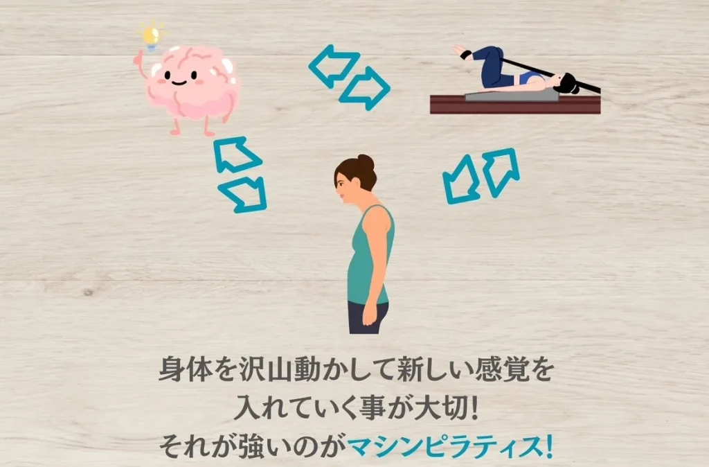 機能的な反り腰をなおすには身体を沢山動かして新しい感覚を入れていくことが大切