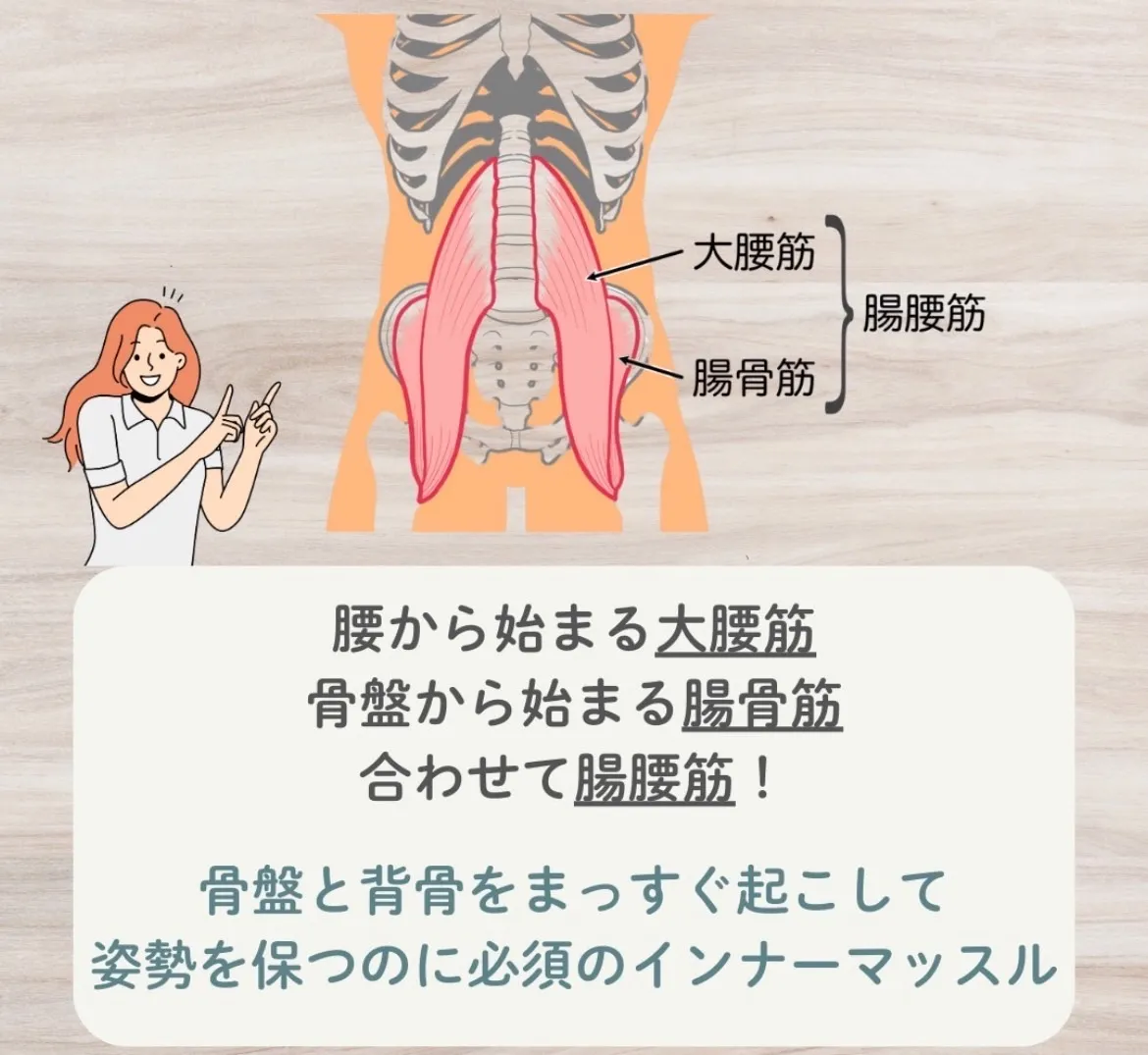 腸腰筋とは?