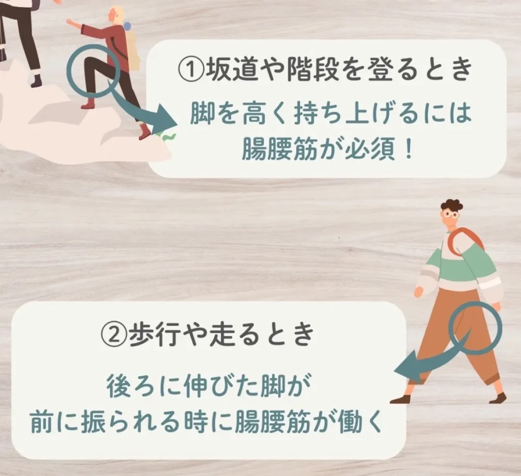 こんな時にはたらく腸腰筋