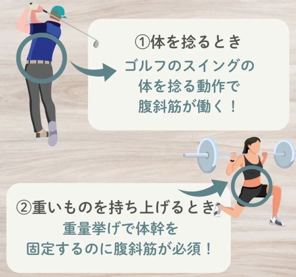 こんな時にはたらく腹斜筋