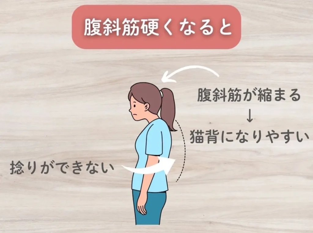 腹斜筋が硬くなると
