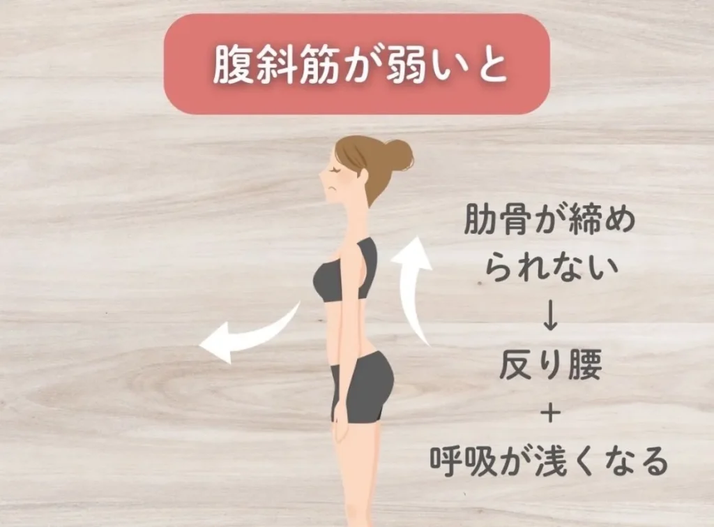 腹斜筋が弱いと