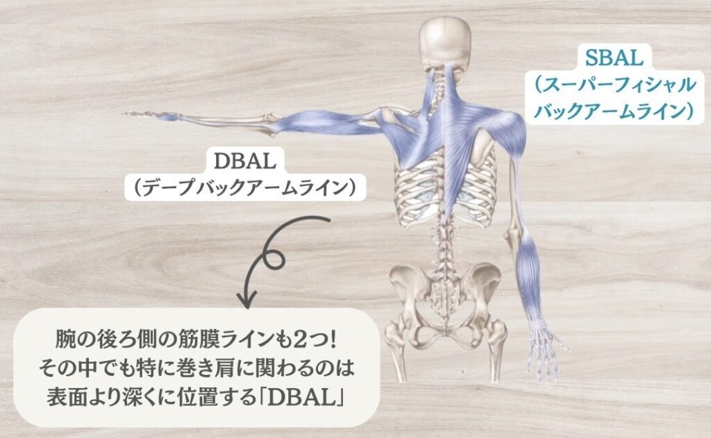 後ろ側のアームライン
