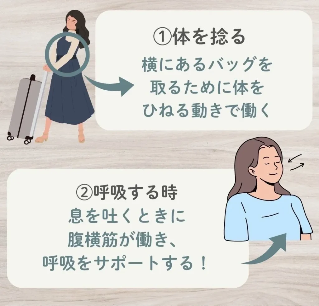 こんな時にはたらく腹横筋
