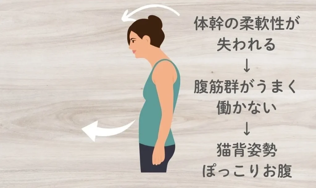 腹筋群(腹横筋)が硬くなると