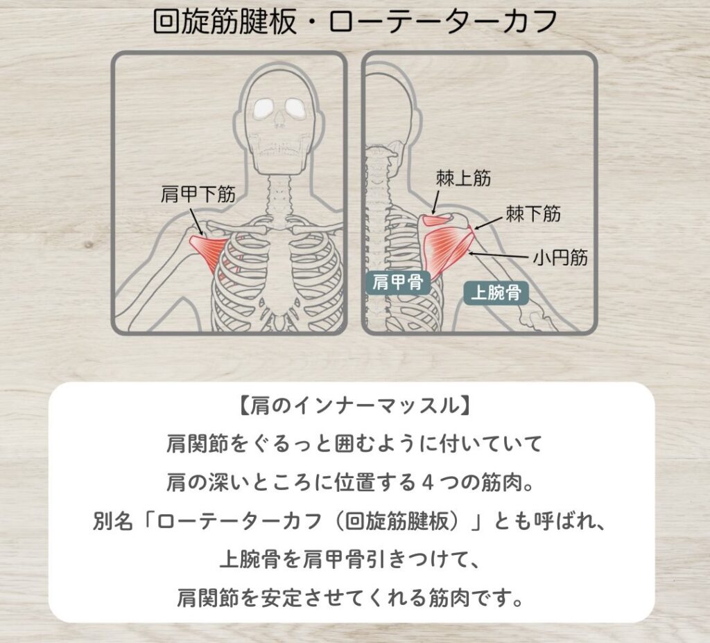 ローテーターカフって何?