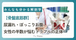 骨盤底筋群サムネイル