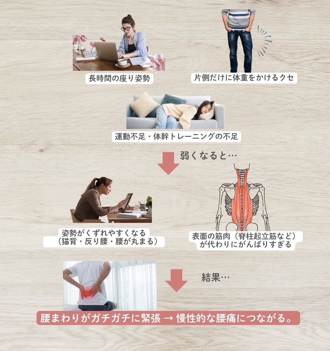 腰方形筋は機能低下を起こしやすい?