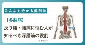 多裂筋サムネイル