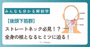 後頭下筋群サムネイル